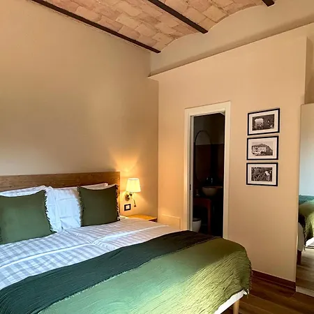 Edera 3*